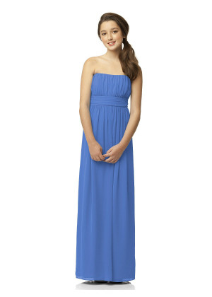 Strapless Cornflower Pleated Chiffon Empire Waist Junior Bridesmaid Dress